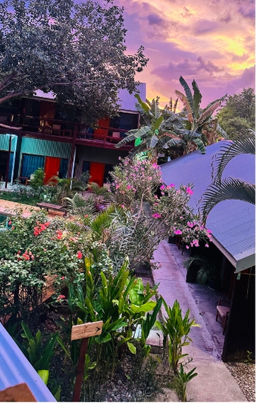 Hotel garden with flowers under purple sunset sky
